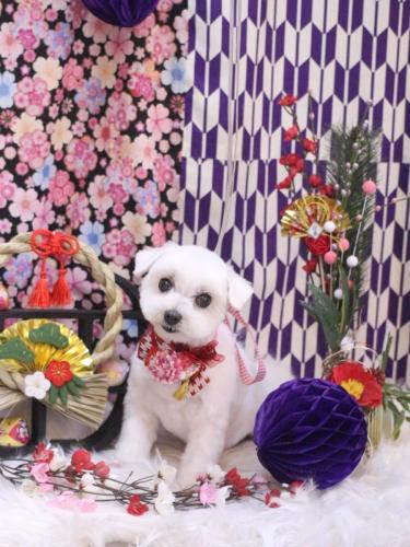 20250129うららちゃん